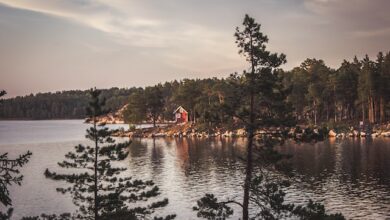 Beautiful Swedish island symbolizing the SDG transformations, the dynamics of S-curve transformations of the United Nations SDG,UNSDG. The fossil-free future initiative is a testament to the commitment to accelerate the 2030 SDG Goals systemic change.