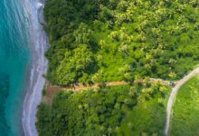 Lush palm forest lining the pristine beach of Grenada, symbolizing United Nations sustainable development goals, SDGs 2030.