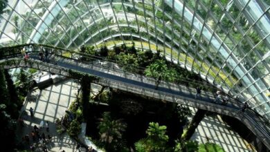 A green building in Singapore showcasing urban planning aligned with the 17 sustainable development goals 2030